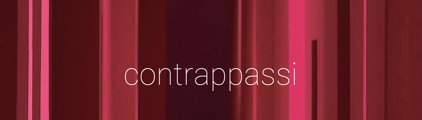 Gabrio Taglietti e Leonardo Zunica - Contrappassi